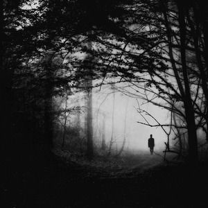 Meet your Posher, Nyles